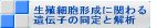 ������˦�����˴ؤ������Ҥ�Ʊ��Ȳ���