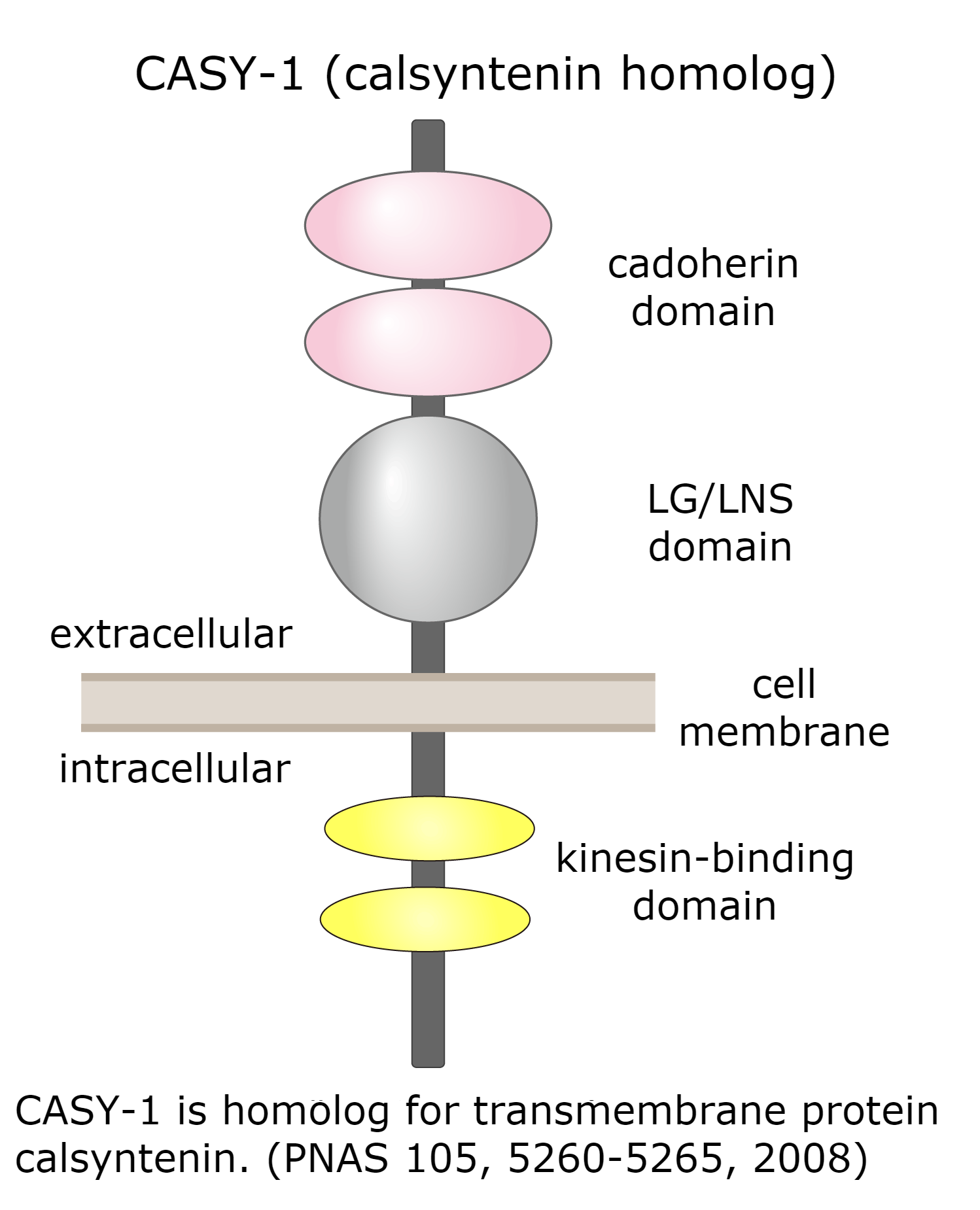 Klein (NCS) Integration • ARProactive