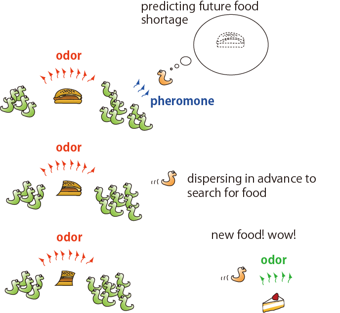 odor_preferenceFig1